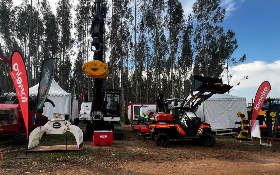 Torneiro Maquicoruña expone en Galiforest